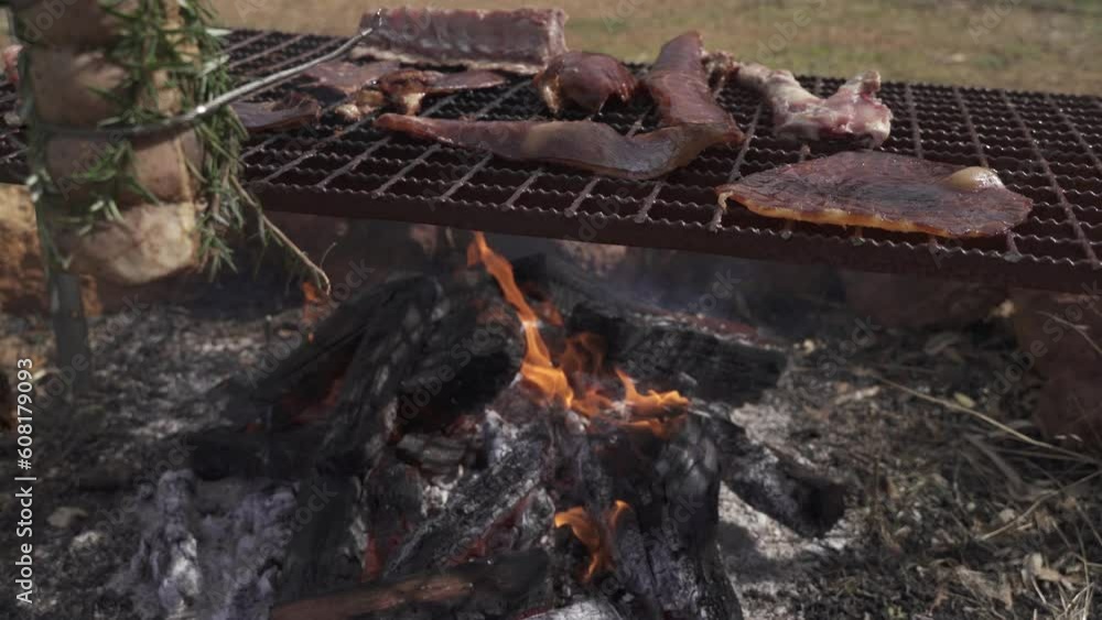 Firewood with coal burning under barbecue grill with fresh meat outdoors Firewood with coal burning under barbecue grill with fresh meat outdoors