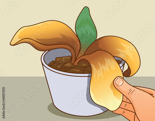 Orchid leaves turned yellow. Orchid health problems. How to care about orchid. Vector illustration