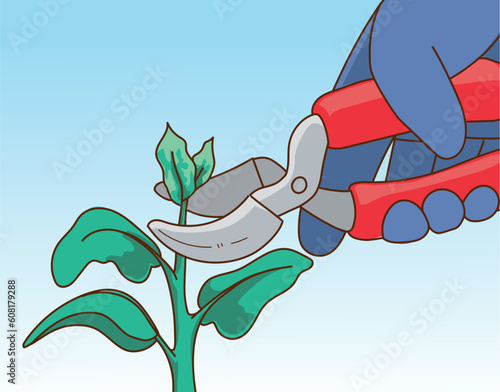 Plants pruning. The human hand in gardening glove trim the gardening plant. The human hand with gardening scissors. Vector illustration. 