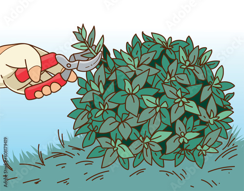 Plants pruning. The human hand in gardening glove trim the gardening plant. The human hand with gardening scissors. Vector illustration. 