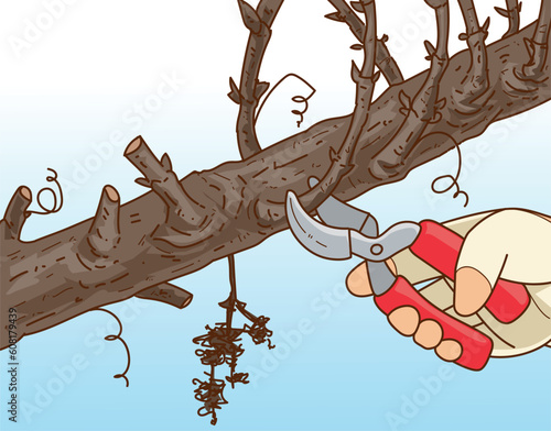 Plants pruning. The human hand in gardening glove trim the gardening plant. The human hand with gardening scissors. Vector illustration. 