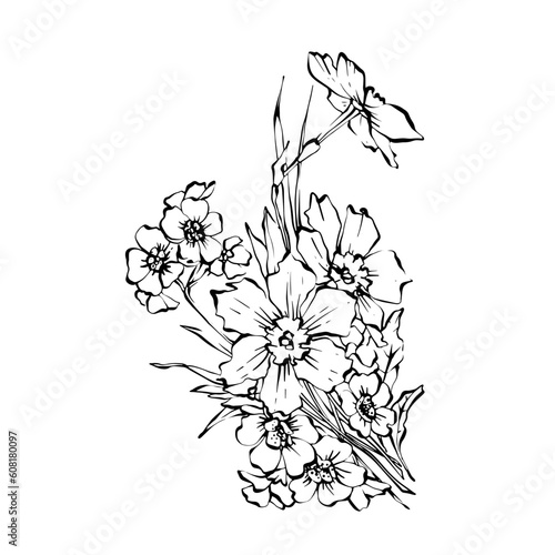 hand drawn flowers bouquet of daffodils and forget-me-nots vintage stile line art
