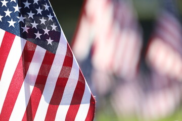 Memorial Day Ceremony, American Flags Flying on Veterans Cemetery
