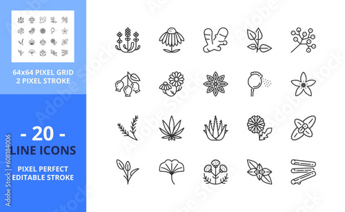 Line icons about infusions and tisanes. Pixel perfect 64x64 and editable stroke