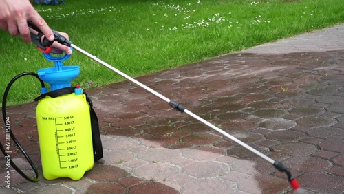 Spraying organic, environmentally-friendly spirit vinegar onto the natural stone pavement (driveway, parking lot) to remove weeds and moss in an eco-friendly manner. Close-up on the hand and the pump 
