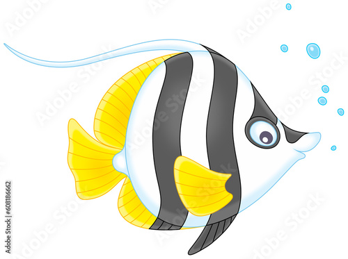 Funny exotic striped butter...