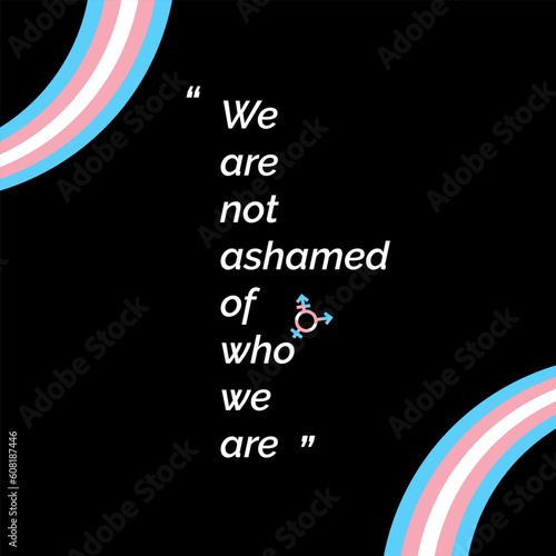 We are not ashamed of who we are banner with trans flag colors. Typography Poster on Trans Pride Flag Background. transgender quotes.