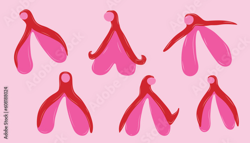 Set of Reproductive system of the clitoris. Clitoral glans.Feminism theme and female genital organs. Vector in cartoon style.