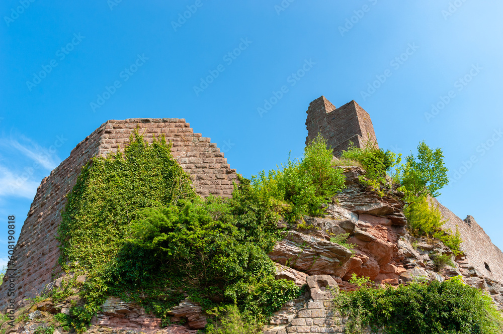 Aufblick zur Ruine Madenburg bei Eschbach. Region Pfalz im Bundesland Rheinland-Pfalz in Deutschland
