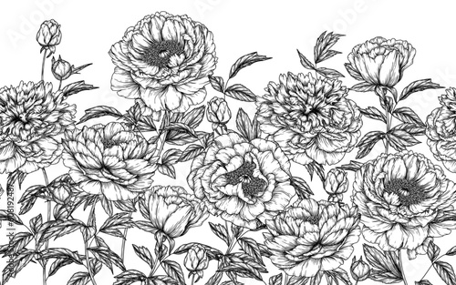 Horizontal seamless pattern garden of peony flowers in engraving style