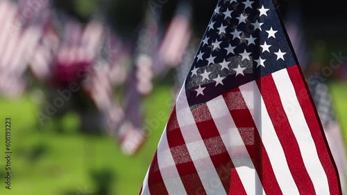Memorial Day Ceremony, American Flags Flying on Veterans Cemetery