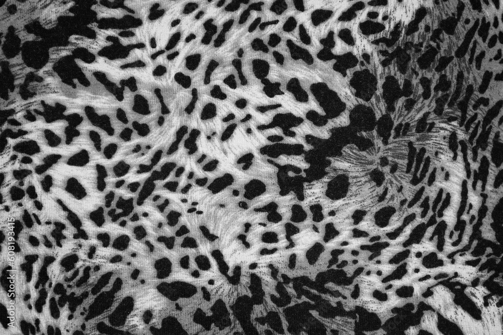 Beautiful leopard Black and white Animal print background
