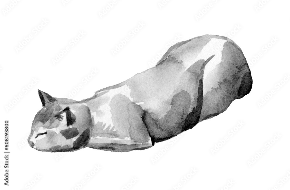Sleeping cat watercolor and ink illustration. Black and white ink ...