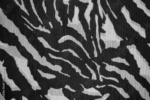 Beautiful zebra Black and white Animal print background texture
