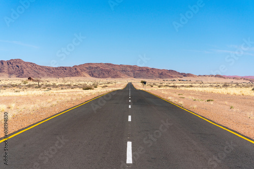 Der Weg ins Sossusvlei