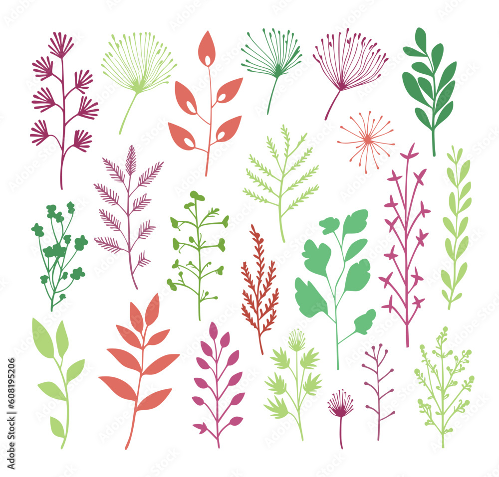 Fototapeta premium beautiful flowers leaves