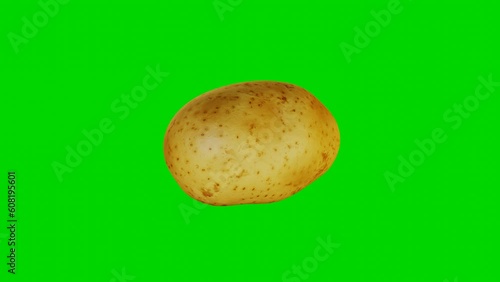 3d render of potato model rotate on green screen