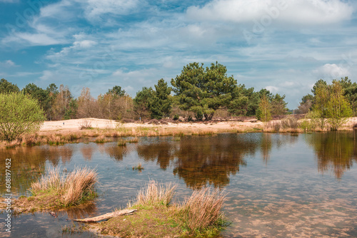 A lake surrounded by dry grass and trees in The Loonse and Drunense Duinen National Park photo