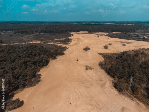 A Top View of the Desert, Pines and Blue Sky in The Loonse and Drunense Duinen National Park