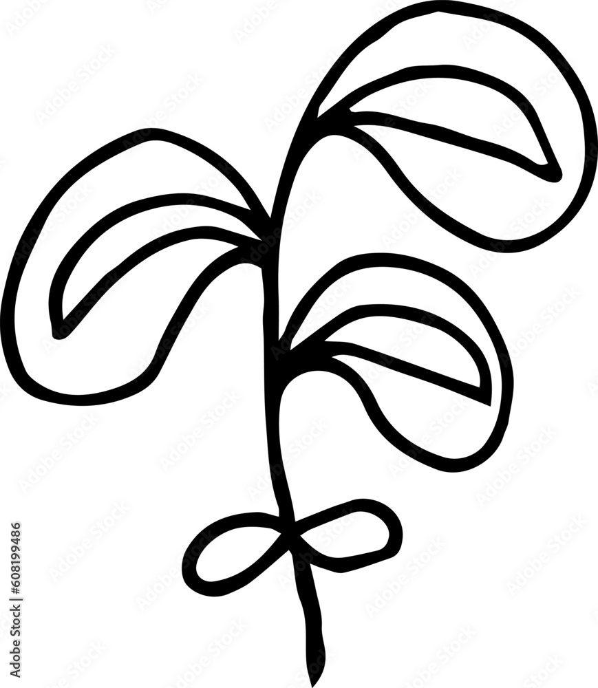 Single hand drawn herbal elements. Doodle vector illustration for, logo and greeting card. Single hand drawn herbal elements. Doodle vector illustration for, logo and greeting card.