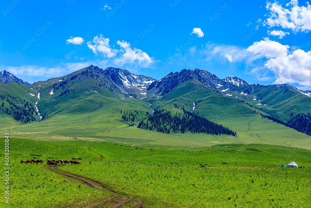 Green grassland and mountain natural landscape in Xinjiang, China.