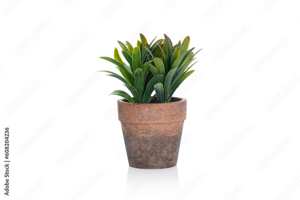 Pot fake plant isolated on white background with clipping path.
