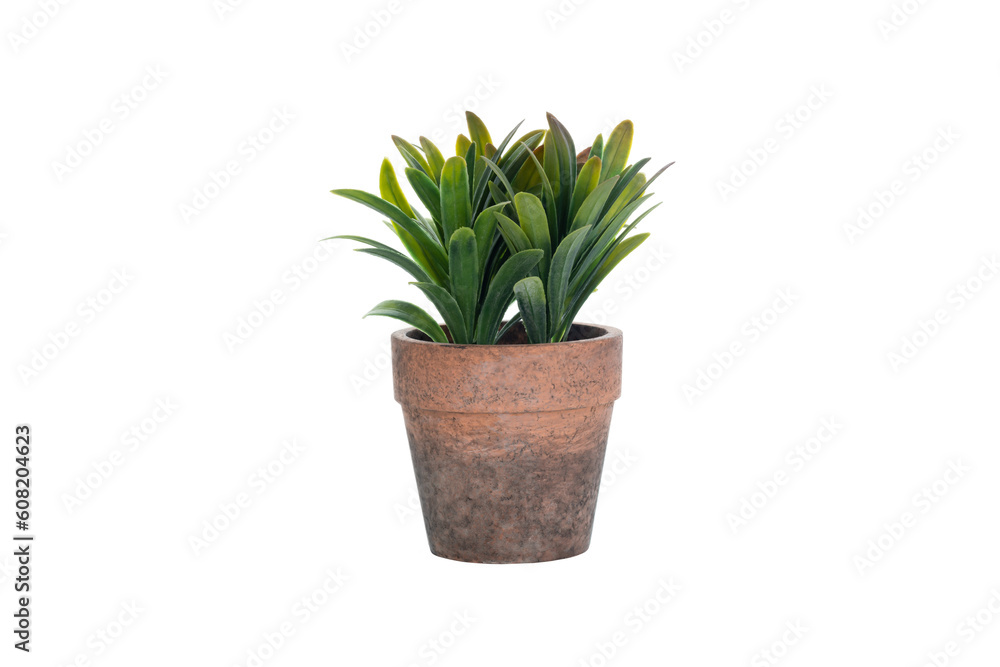 Pot fake plant. Pot fake plant.