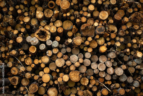Background of wooden logs cut and stacked forming a pattern