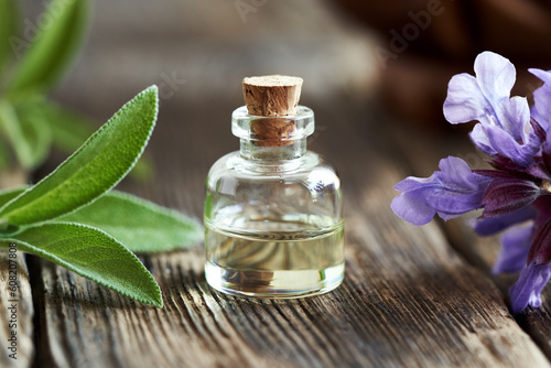 Essential oil bottle with fresh sage leaves and flowers