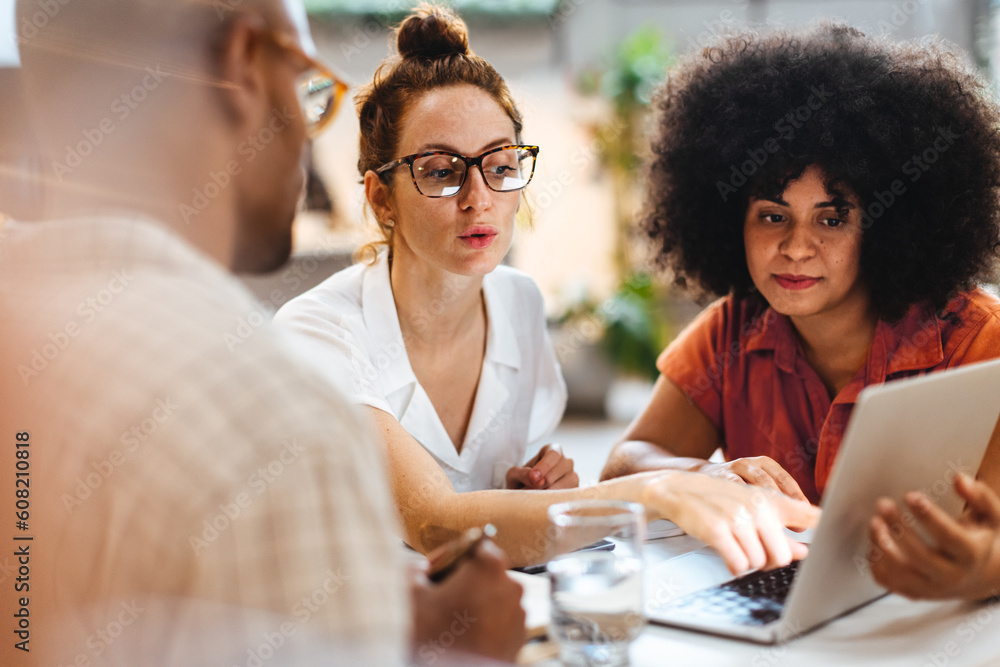 Business professionals using a laptop during lunch meeting with a client Business professionals using a laptop during lunch meeting with a client
