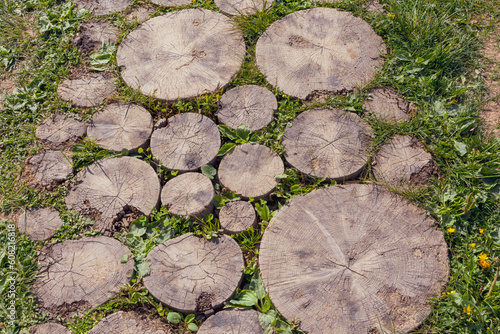 Abstract background with a wooden forest road and greenery. Textured walkway.