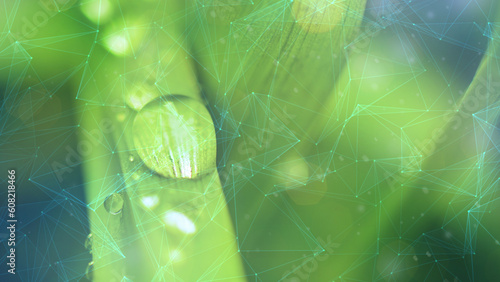 Network business connection eco green earth background.