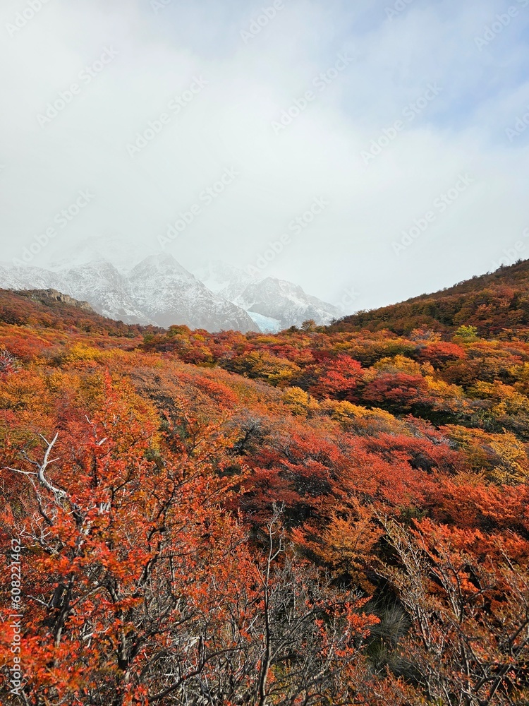 Obraz premium Autumn in argentina