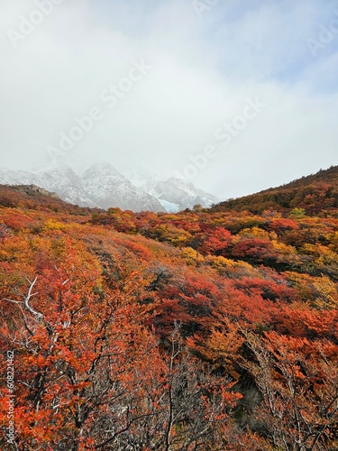 Autumn in argentina