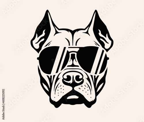 Pitbull dog head. Bulldog. Cool Pit bull Black Sunglases. Dude. © martstudio