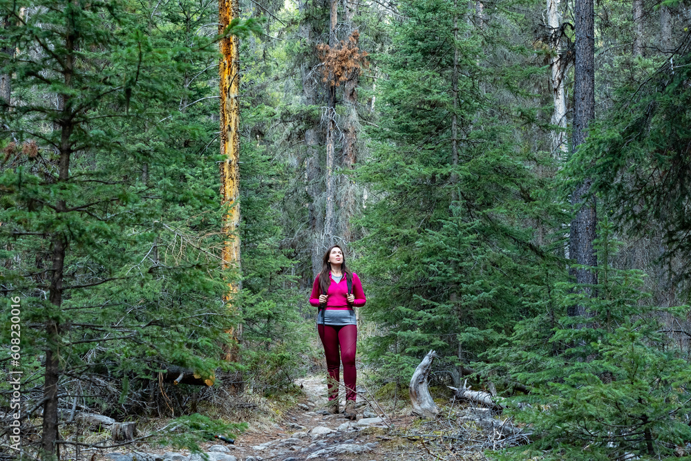 Tourist woman walking on the trail, between the trees in the forest. Banff National Park. Tourist woman walking on the trail, between the trees in the forest. Banff National Park.