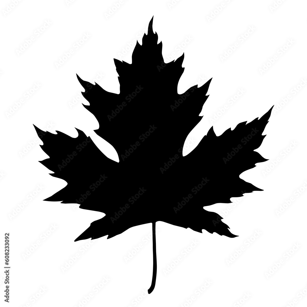 maple leaf silhouette maple leaf silhouette