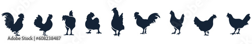 Photographie Rooster silhouettes. Hen chicken. vector Illustration