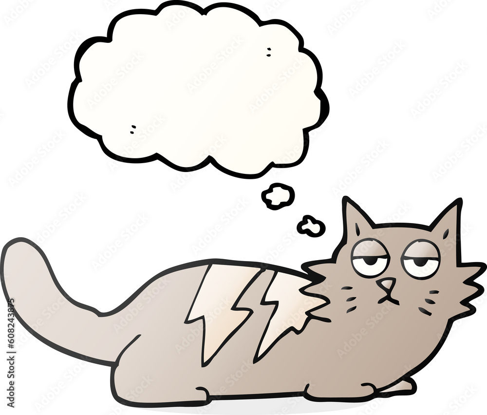 freehand drawn thought bubble cartoon cat freehand drawn thought bubble cartoon cat