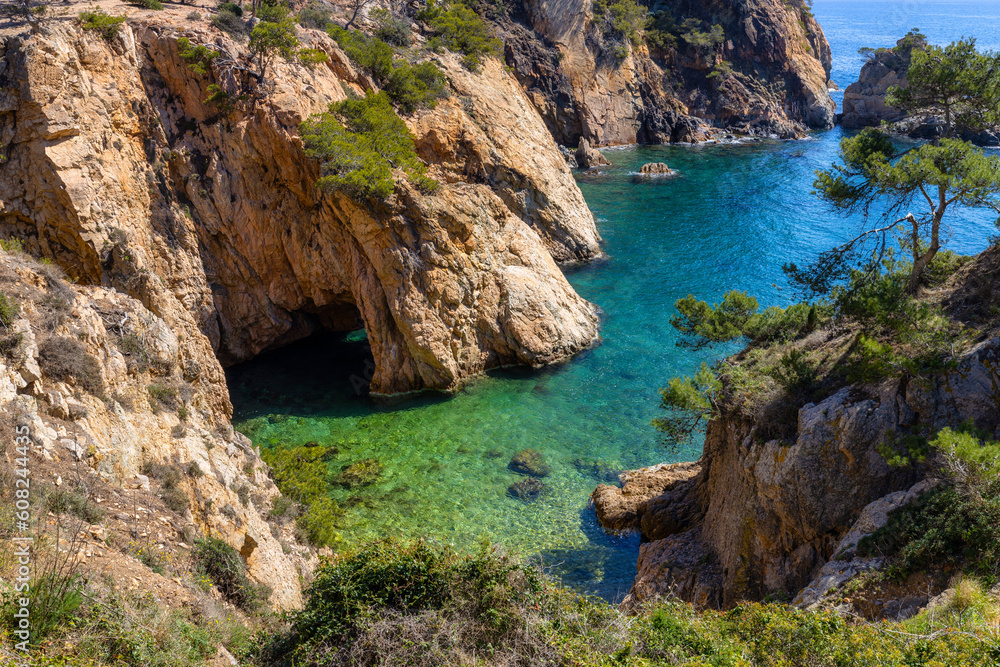 Nature in all its splendor: an experience for the senses. Costa Brava, near small town Palamos, Spain
