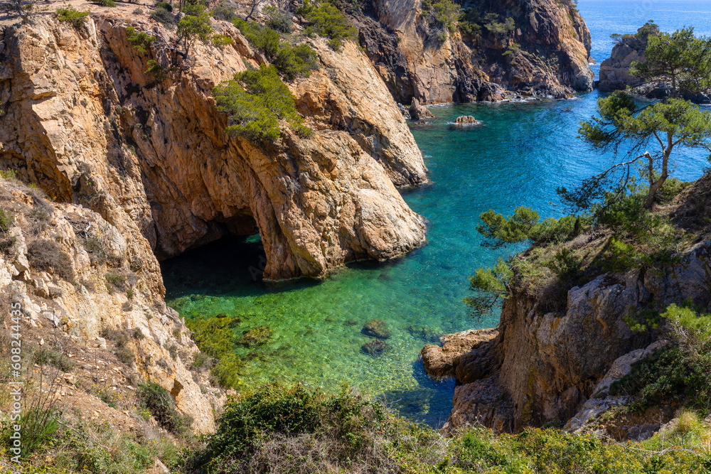 Nature in all its splendor: an experience for the senses. Costa Brava, near small town Palamos, Spain Nature in all its splendor: an experience for the senses. Costa Brava, near small town Palamos, Spain