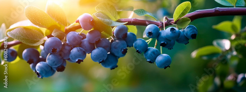 blueberry grows on a tree in the harvest garden. Generative Ai,