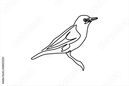 continuous line drawing of bird perching illustration