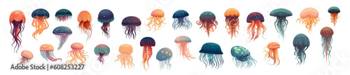 Set of jellyfish, flat cartoon isolated on white background. Vector illustration