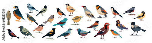 Set of bird, flat cartoon isolated on white background. Vector illustration © Bamby