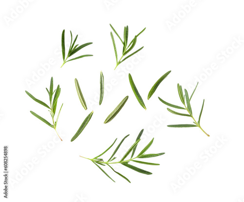 Rosemary on transparent png