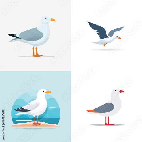 Seagull vector set isolated illustrations