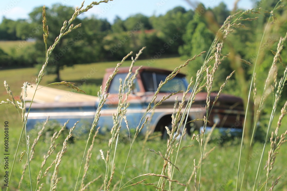 old truck in the field old truck in the field