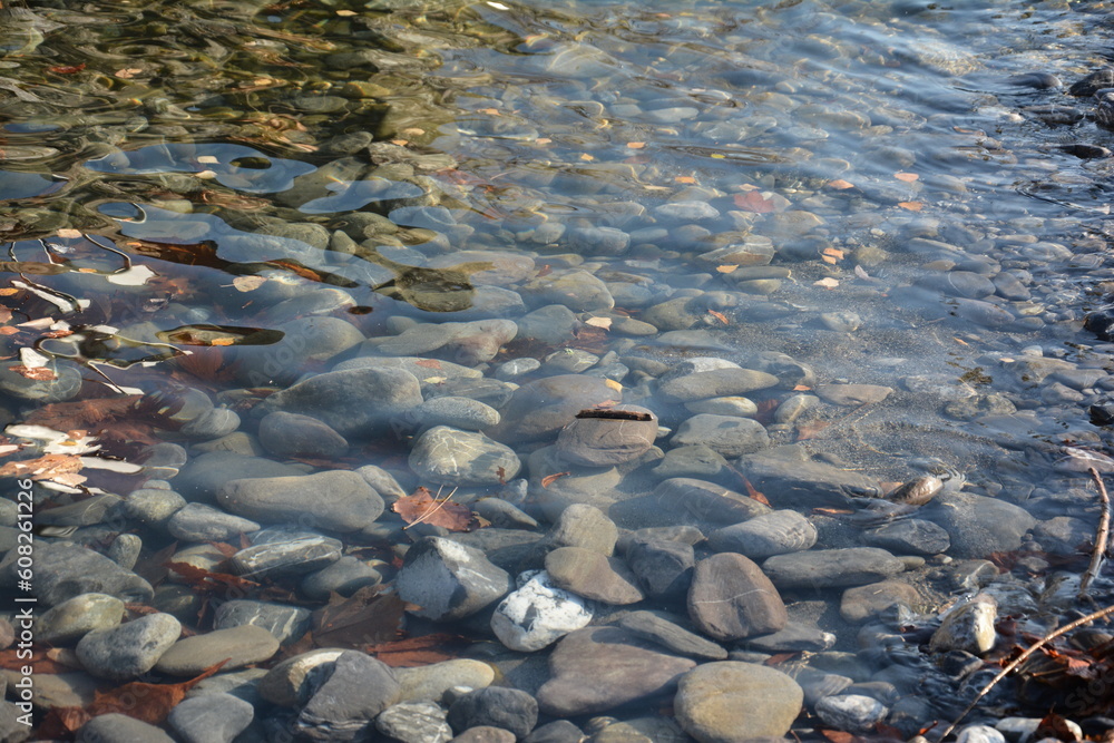 Obraz premium Lac et mouettes