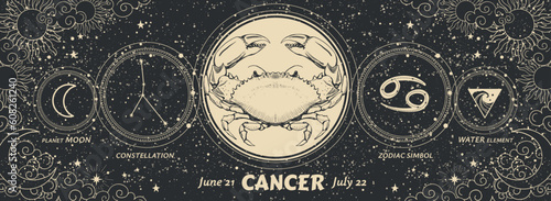Cancer zodiac sign, vintage astrology graphic banner on mystical starry black background. Modern realistic vector hand drawing, horoscope card.